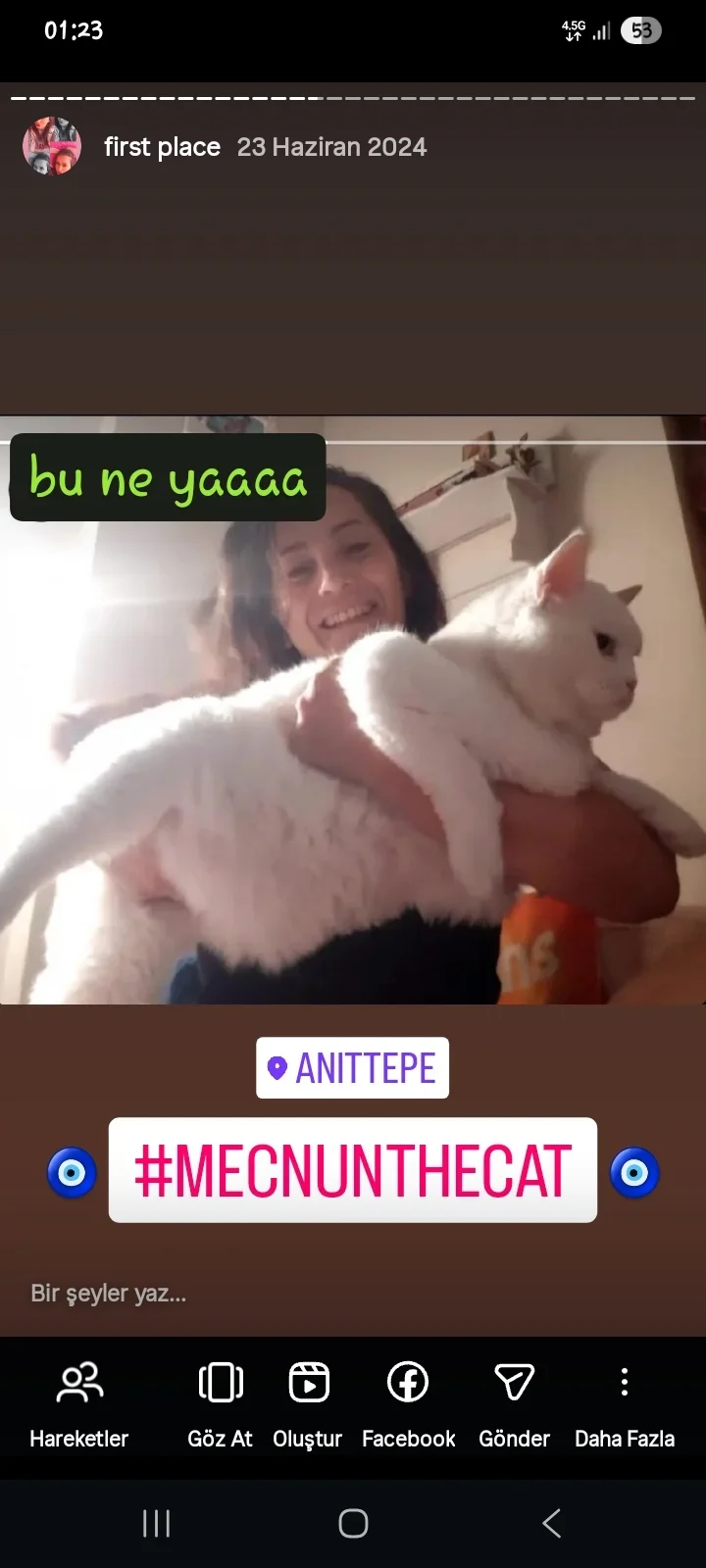 mecnun