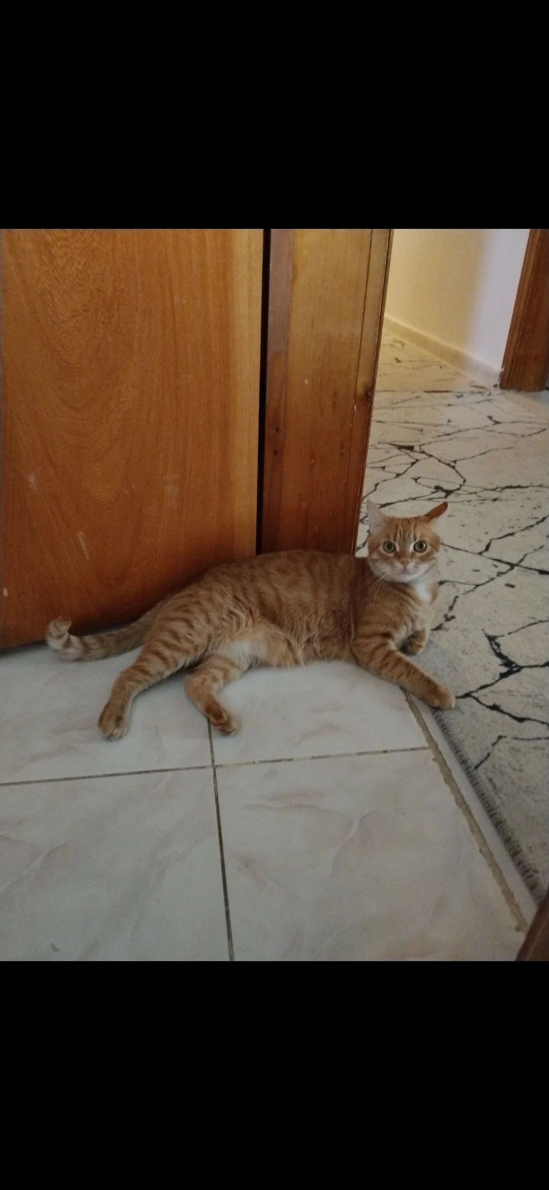 Bal