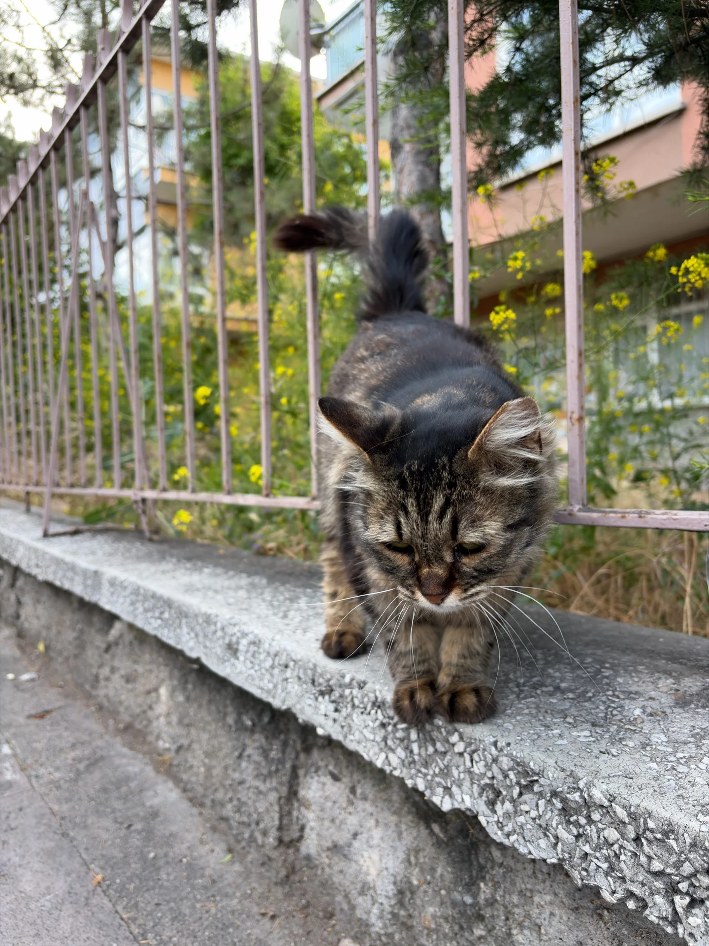 Çakıl
