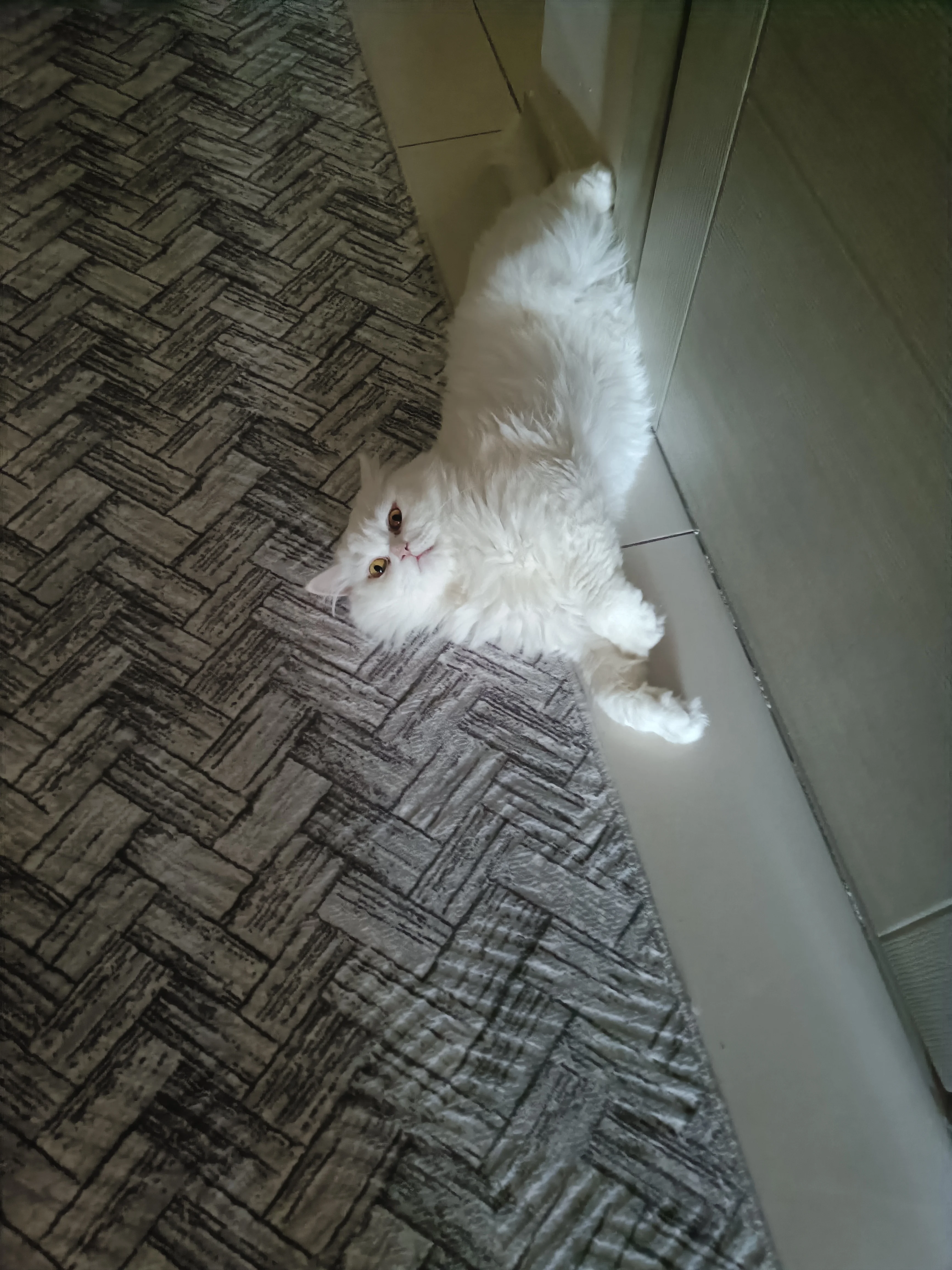 Mia