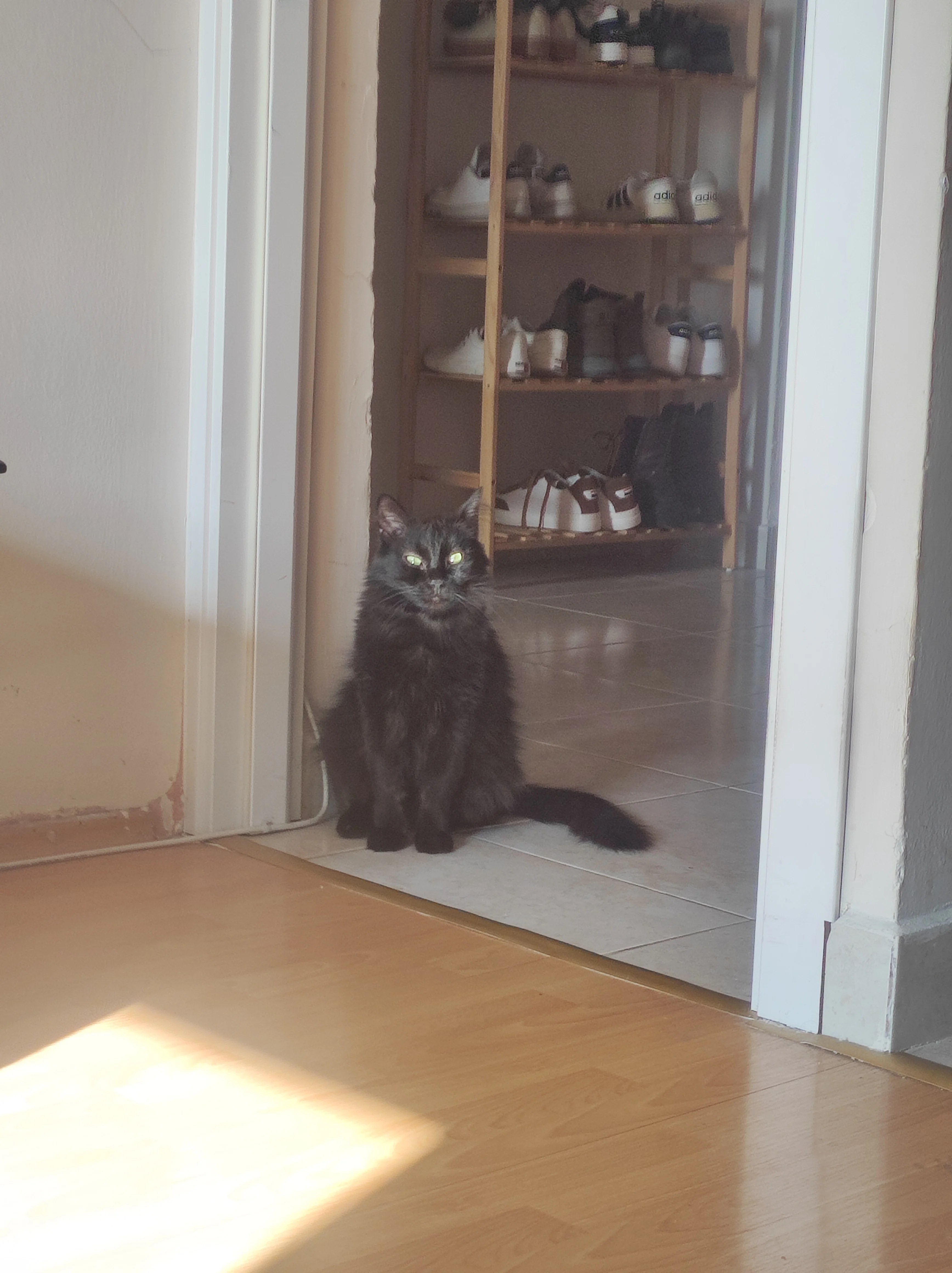 Pasaklı🖤