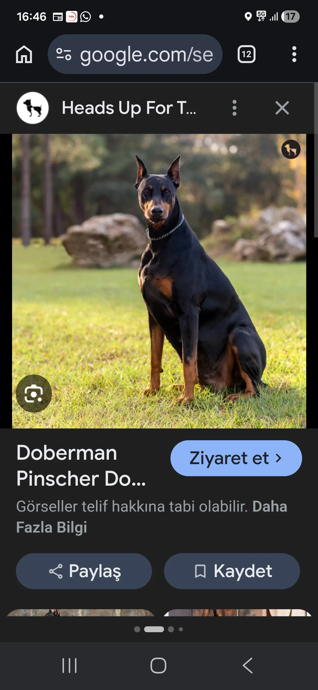 Paşa