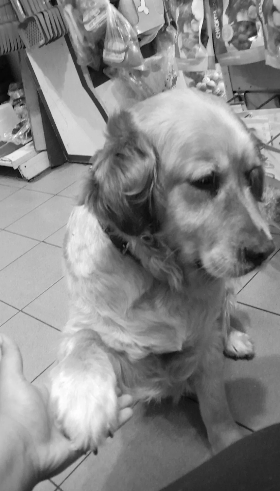 Doru
