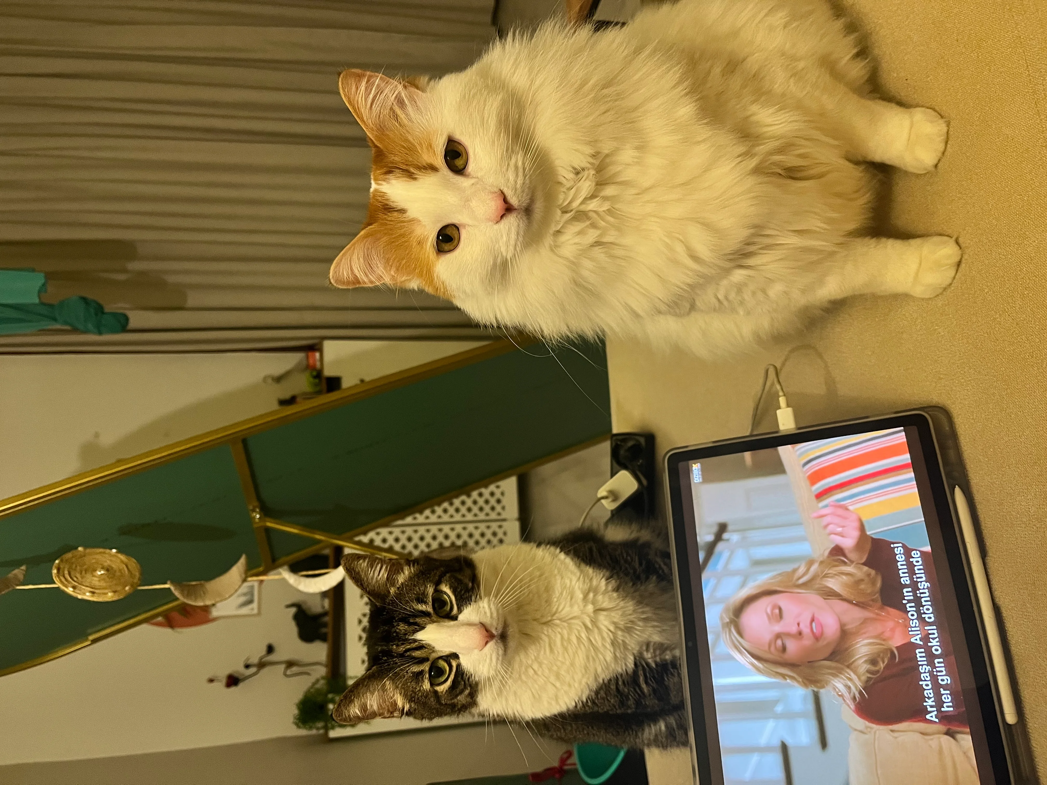 Elijah &Dolly