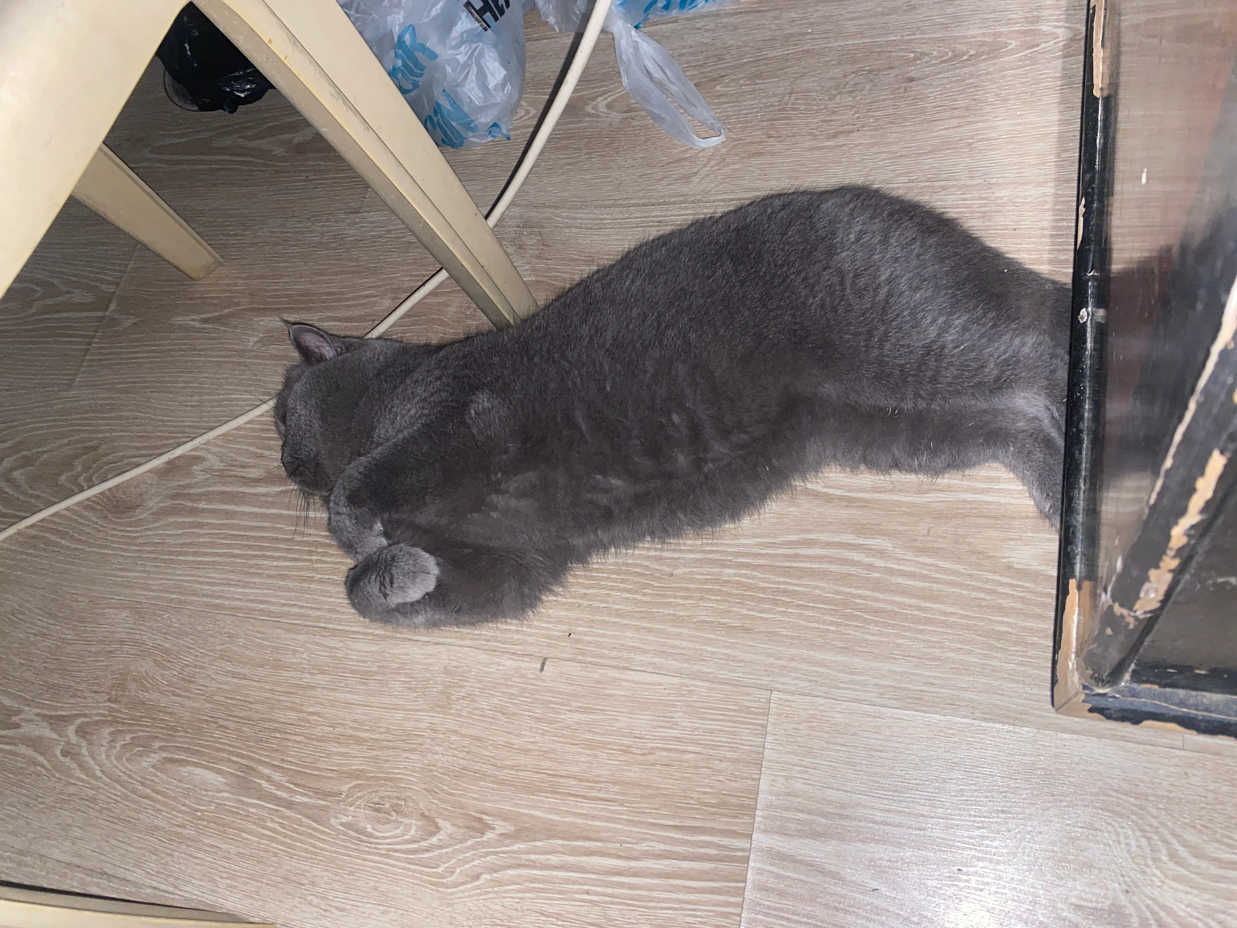 Ares