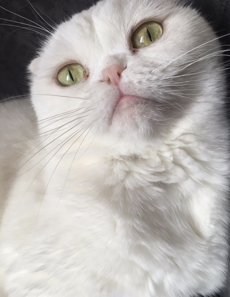 betty