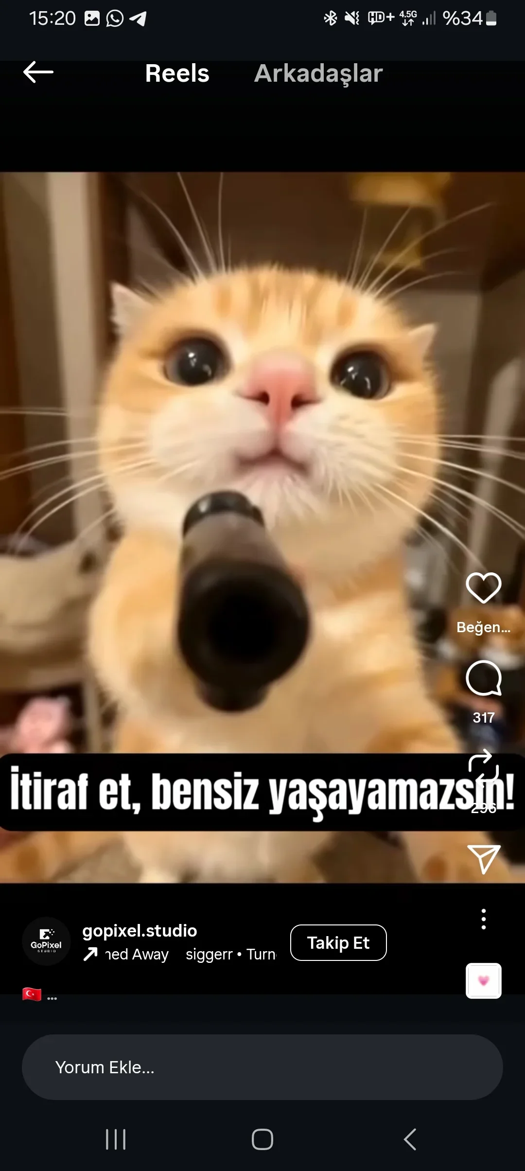 Emre C. 1