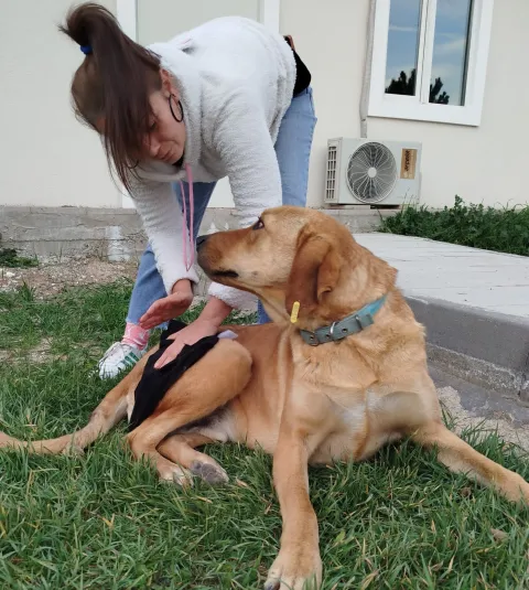Gülden Ç. 4