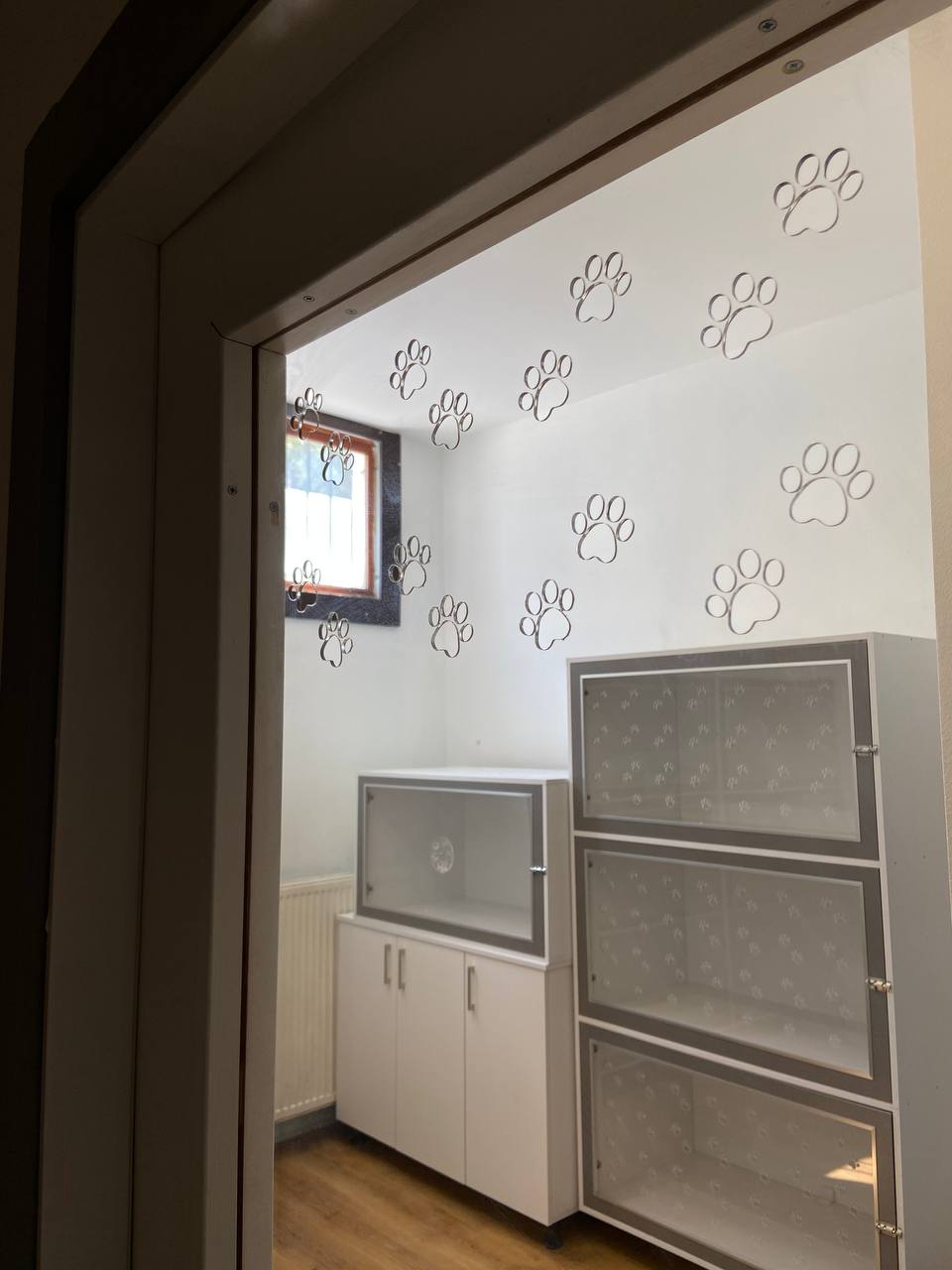 Vetrials Veteriner Kliniği 4