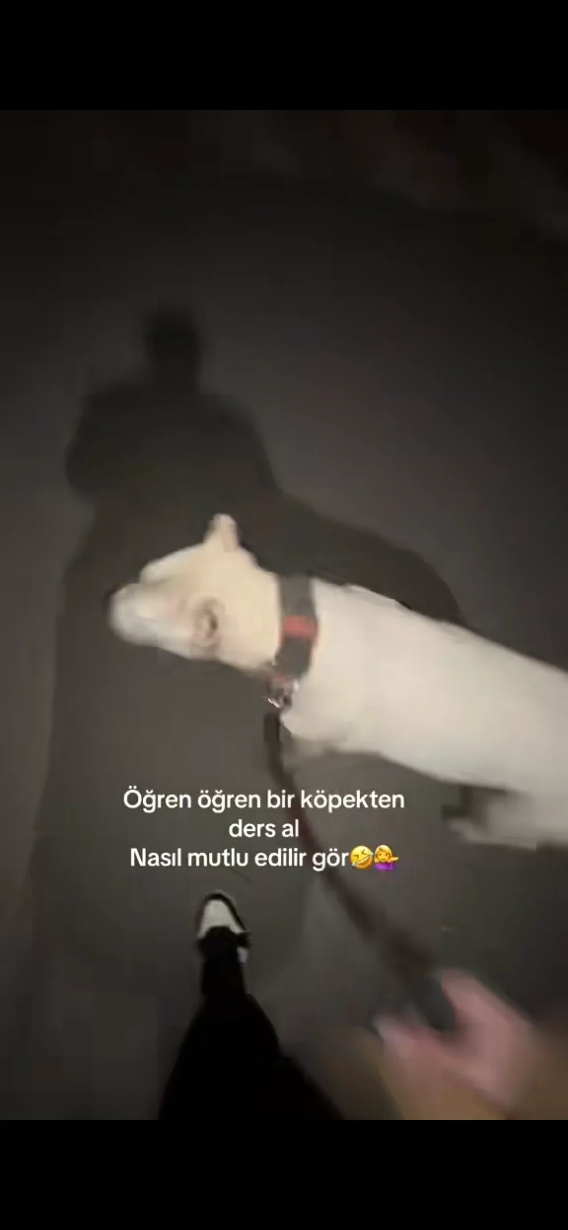 Büşra Ü. 1