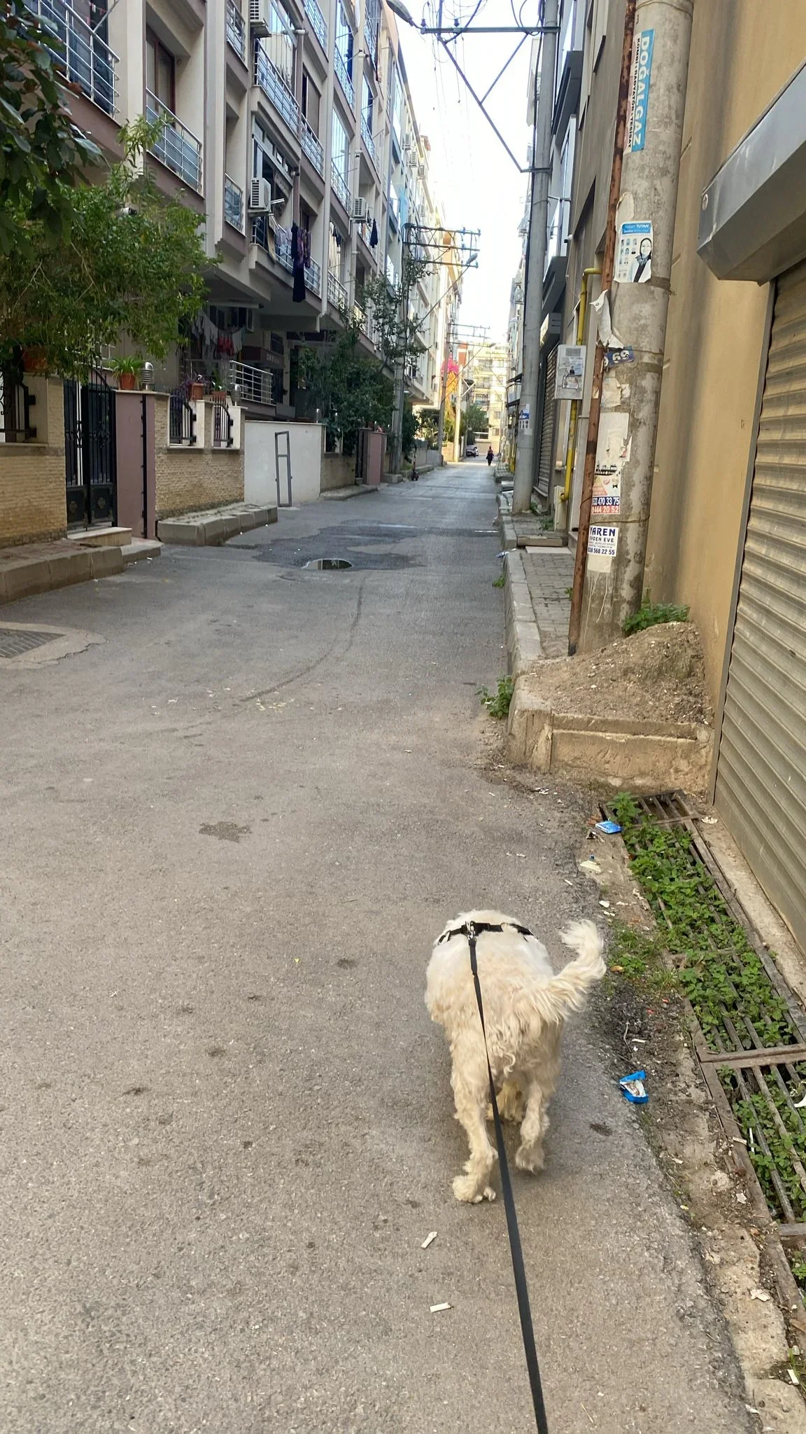 Nazlı İ. 1