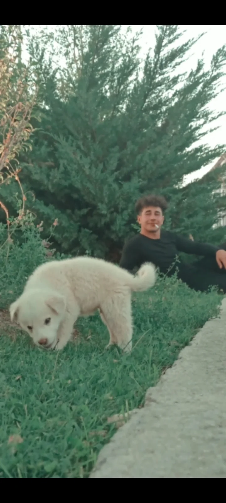 Mehmet Ö. 5