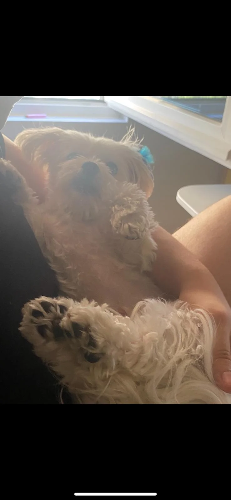 Sude N. K. 4