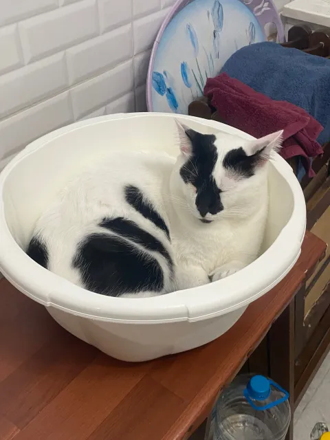 İrem B. 5