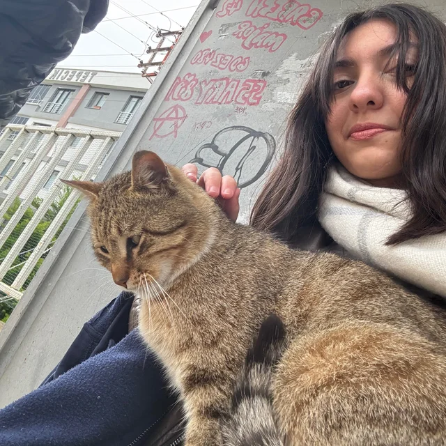 Zeynep S. K.