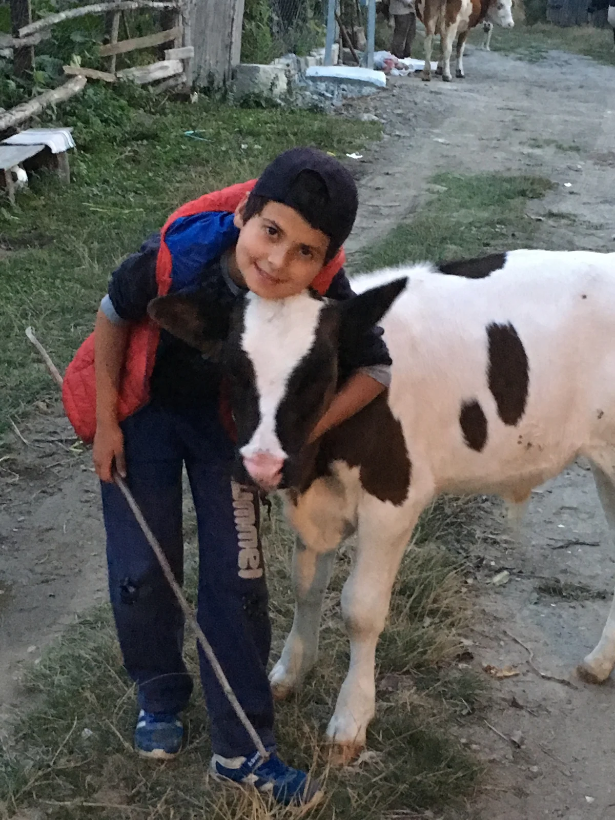 Ünsal Ü. 1