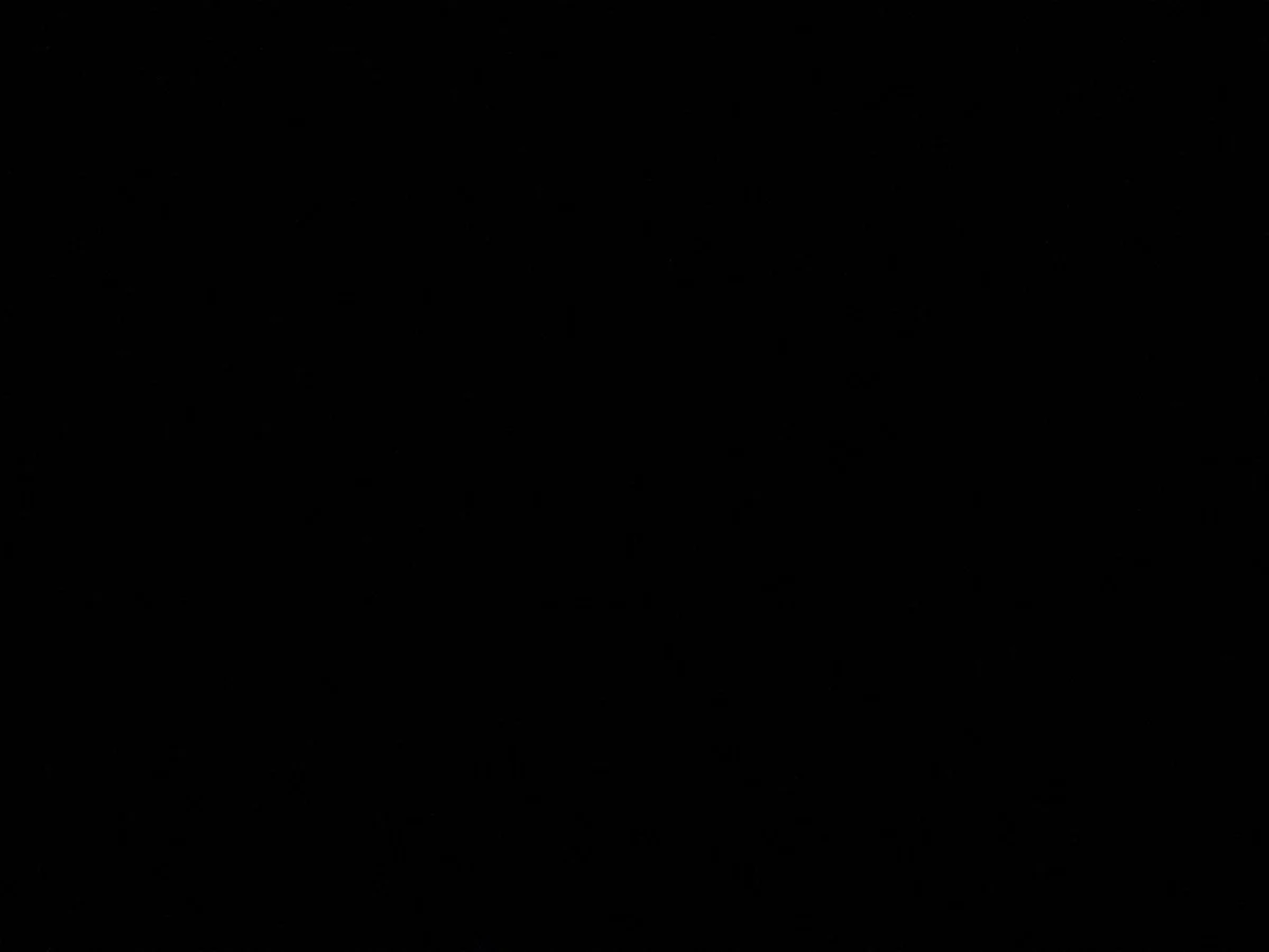 Şeyda D. A. 1