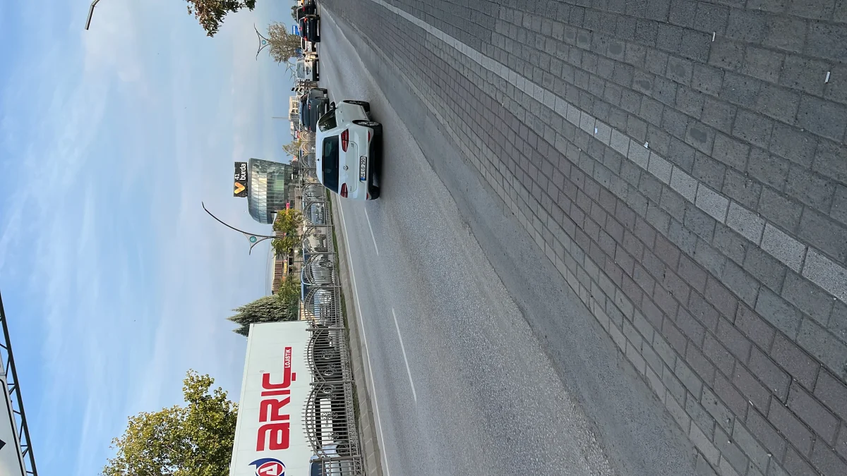 Bulut Y. 1