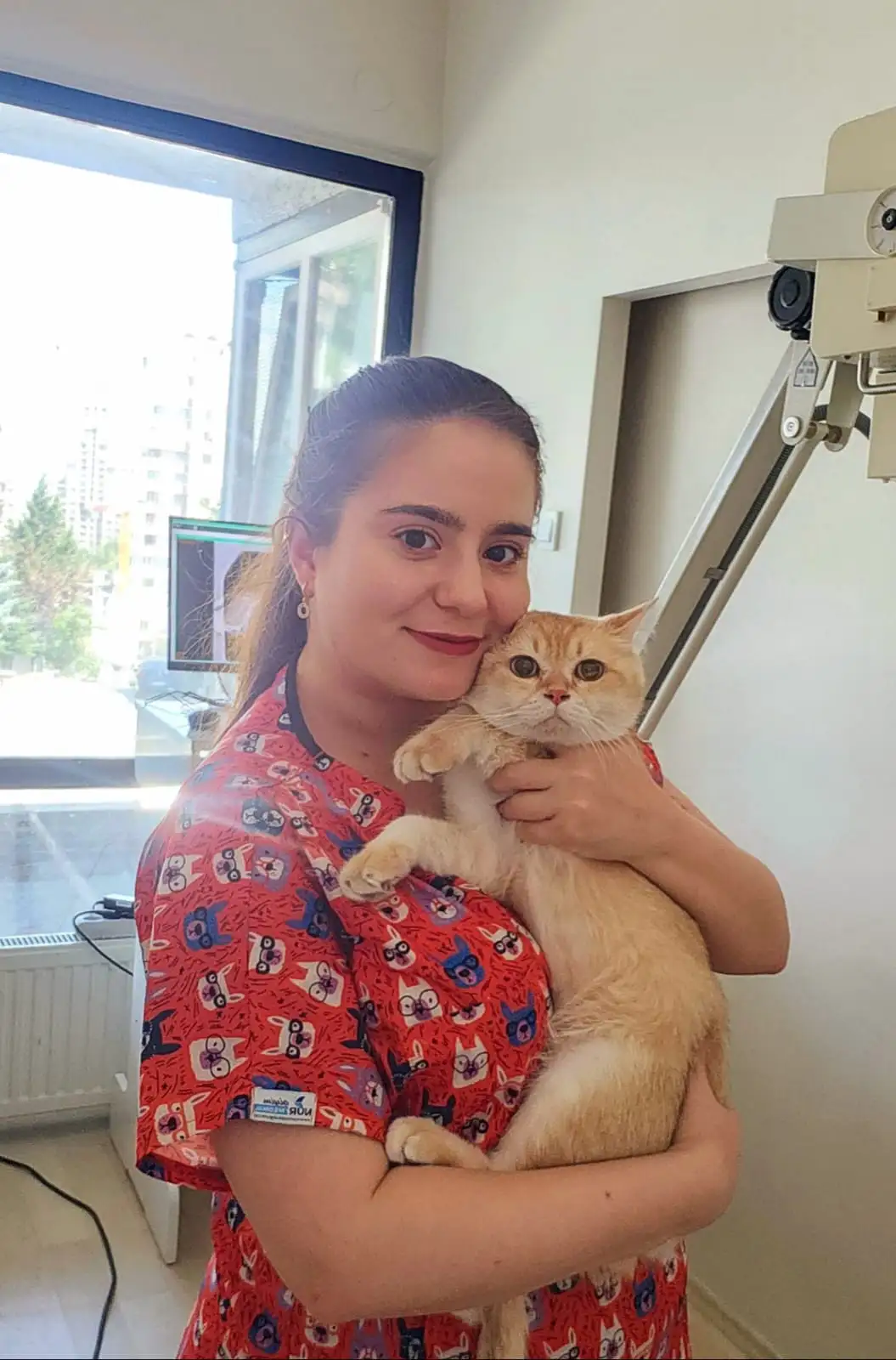 Aylin Eniş