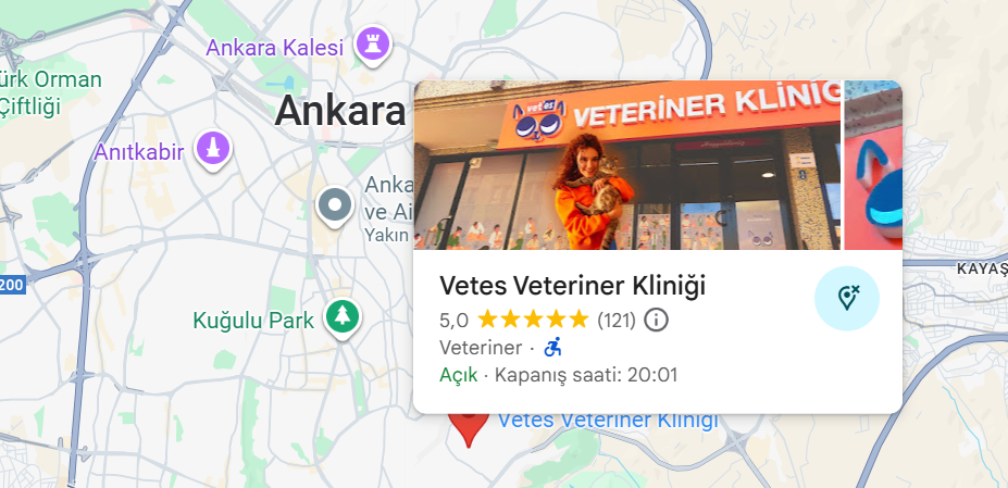 Vetes Ankara Veteriner Kliniği 5