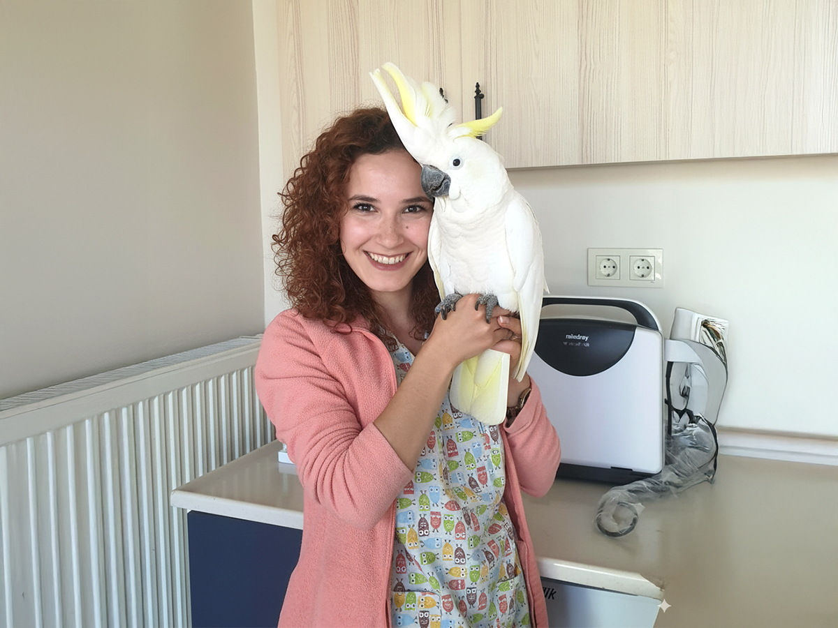 Vetes Ankara Veteriner Kliniği 7