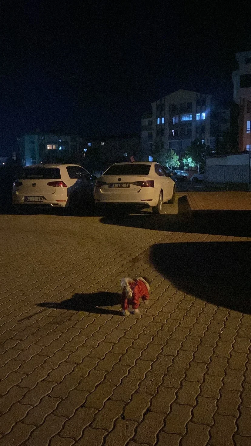Talha Erçin 3