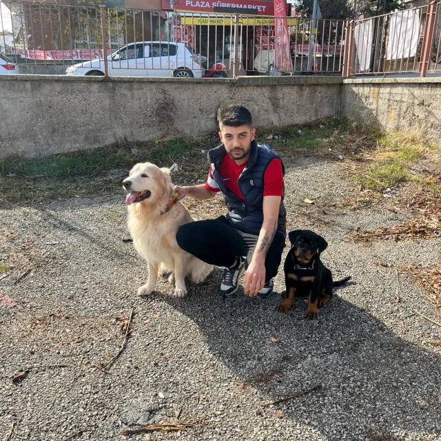 Boran Ş.