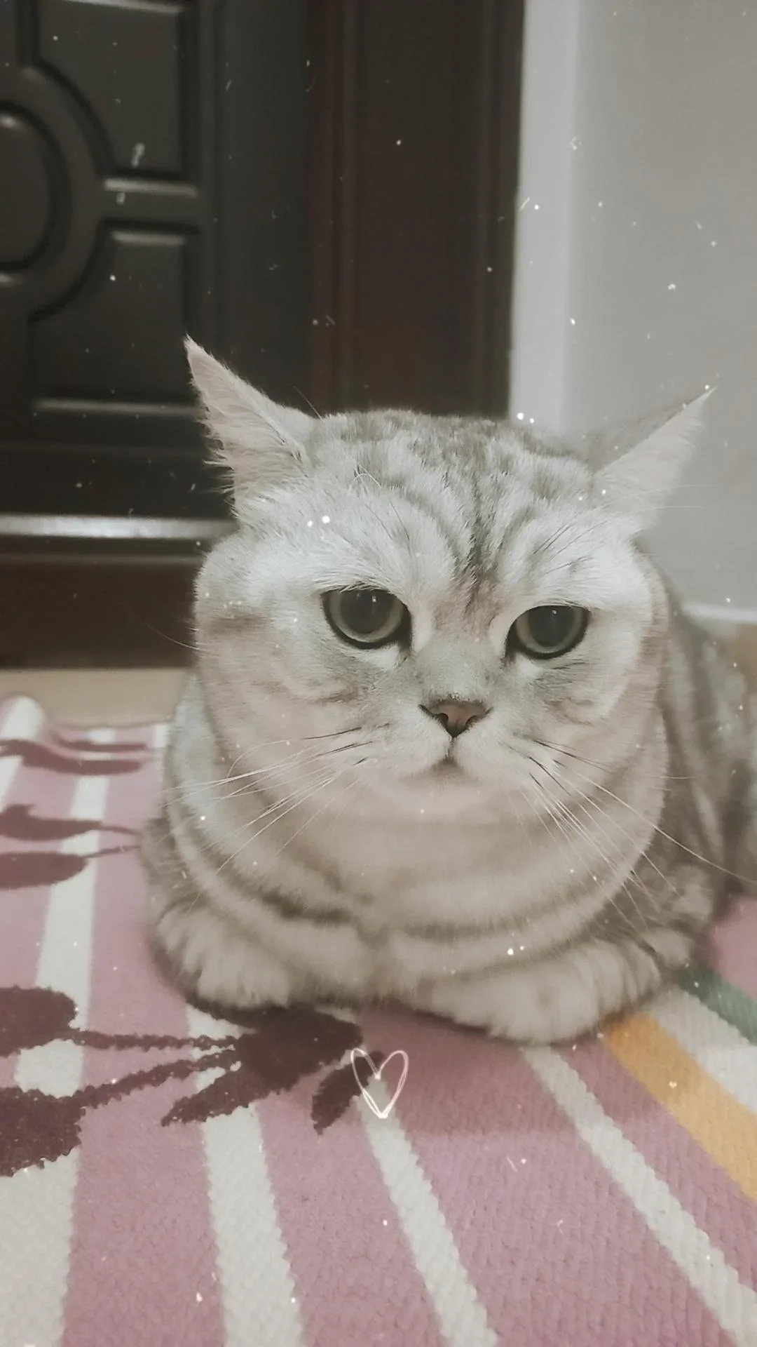 Gülperi 1