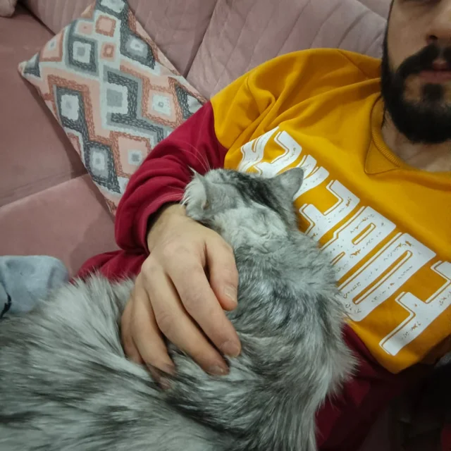 Ozan M. Ü.