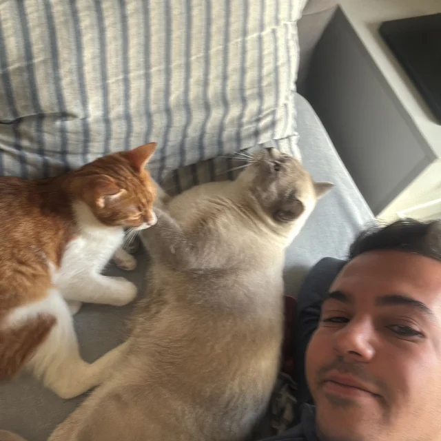 Çanakkale Çan - Köpek Yürüyüşü - Ferşad A.