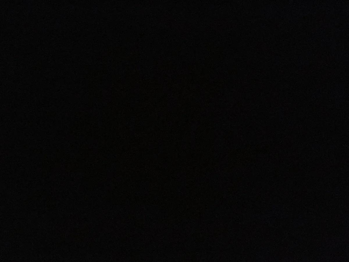 Nazlı S. 1