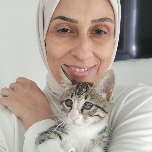 İzmir Bayraklı - Kedi Bakıcısı - Reyhan K.