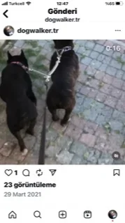 Ahmet Ç. 6