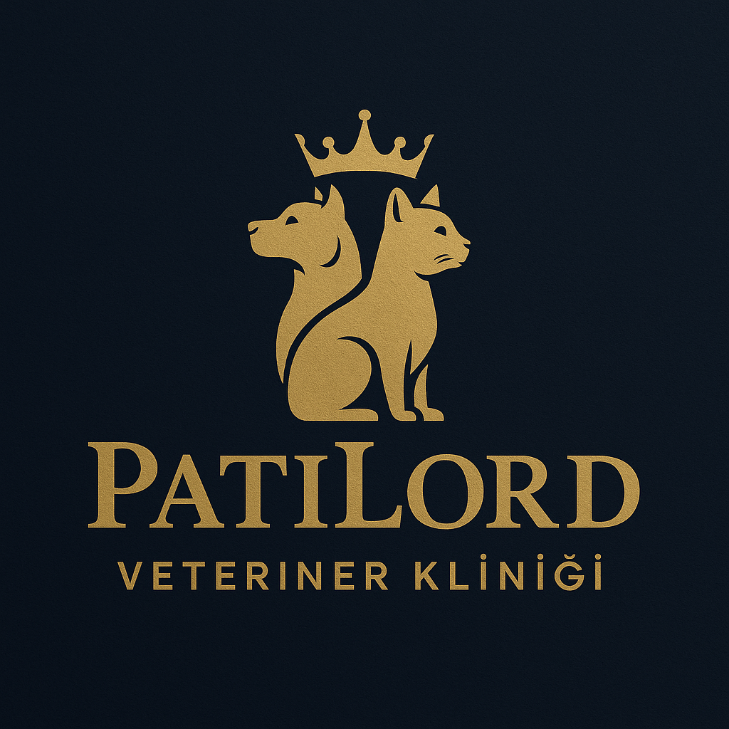 PatiLord V. K.